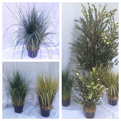 Potted Grass 2' - Artificial Trees/Floor Plants - Artificial potted grass for rent